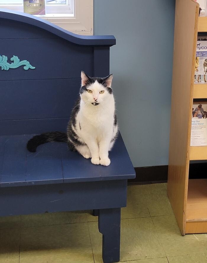 Images Animed Veterinary Hospital