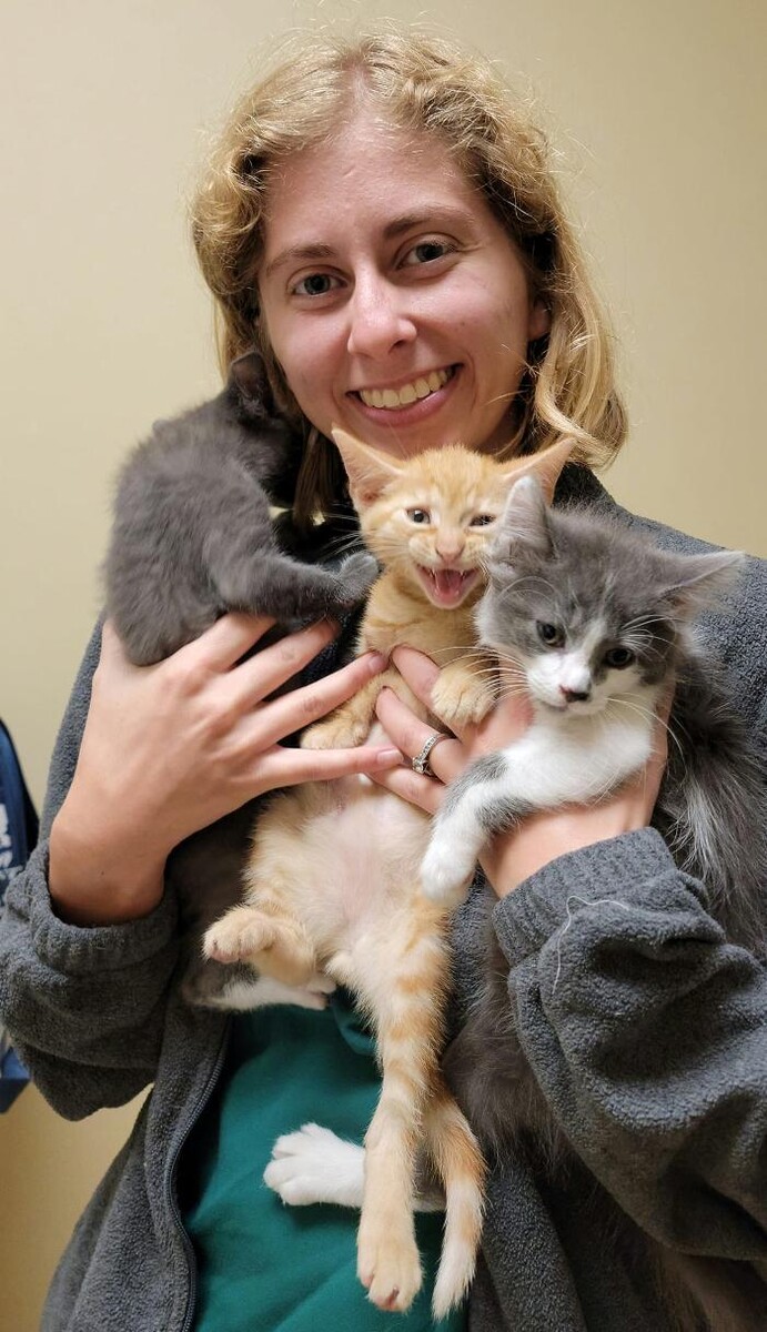 Images Animed Veterinary Hospital
