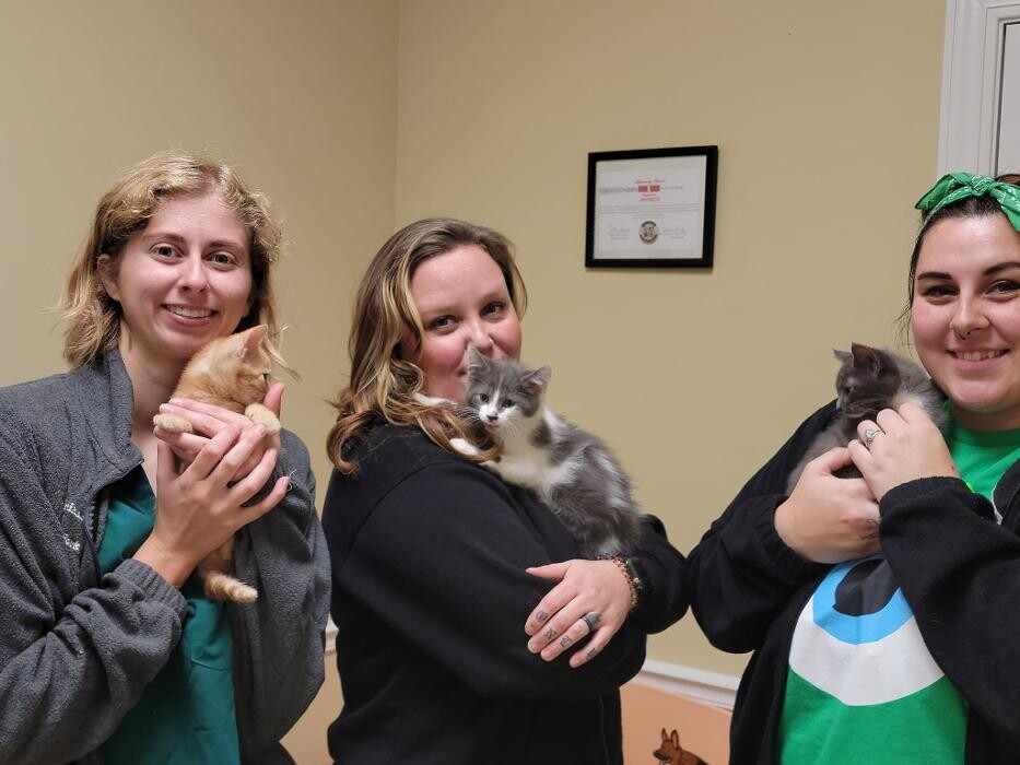 Images Animed Veterinary Hospital