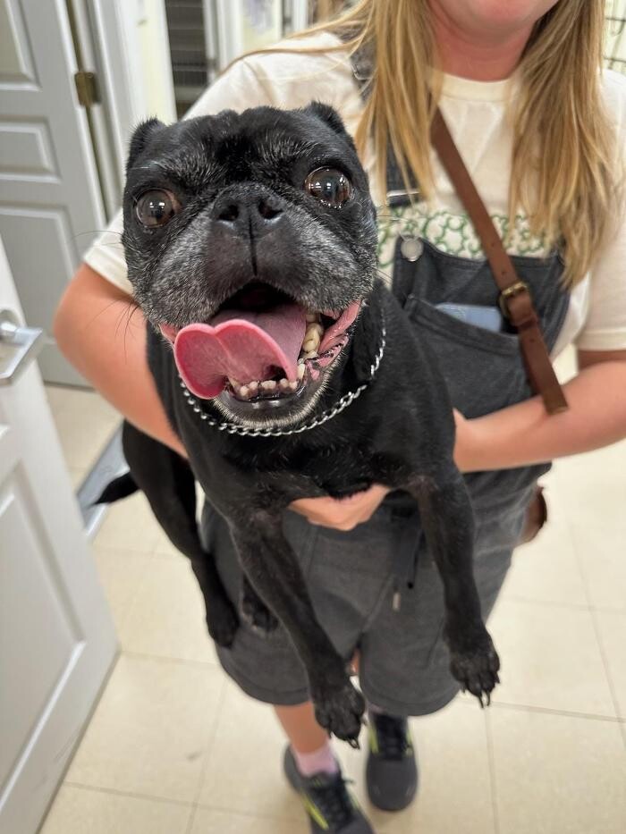 Images Animed Veterinary Hospital
