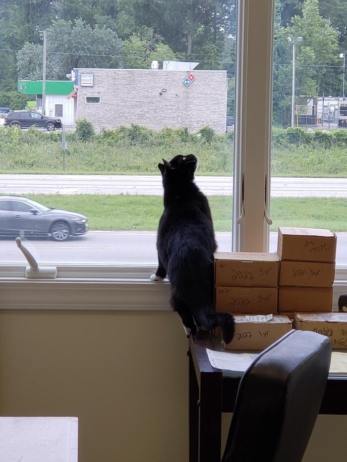 Images Animed Veterinary Hospital