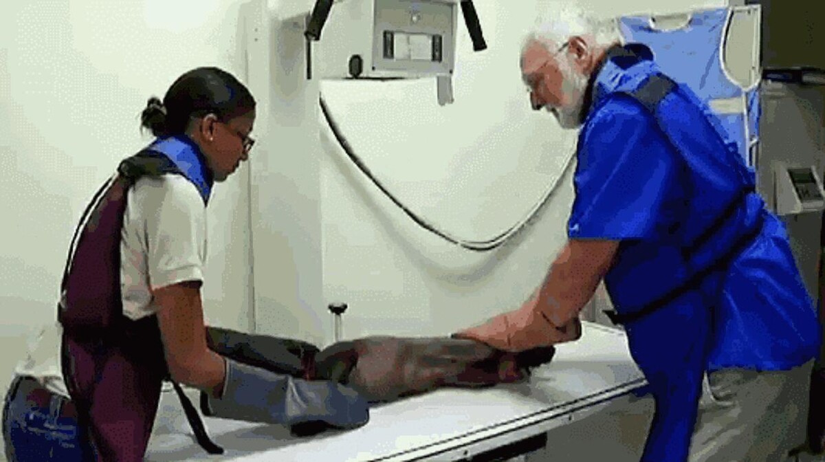Images Animed Veterinary Hospital