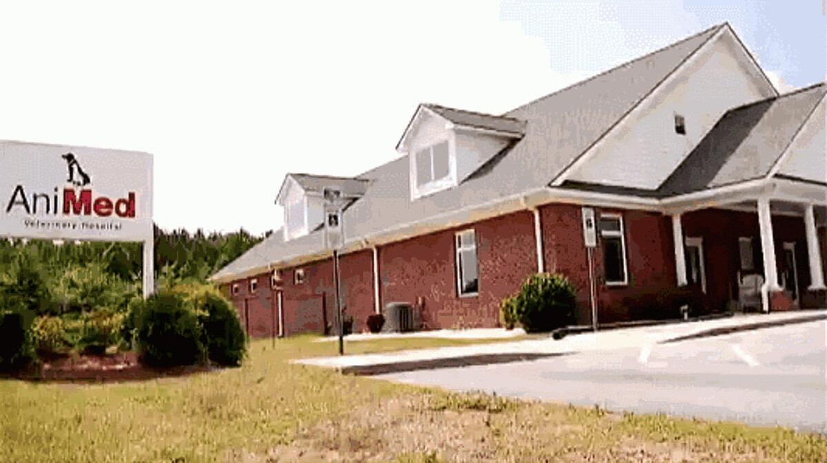 Images Animed Veterinary Hospital