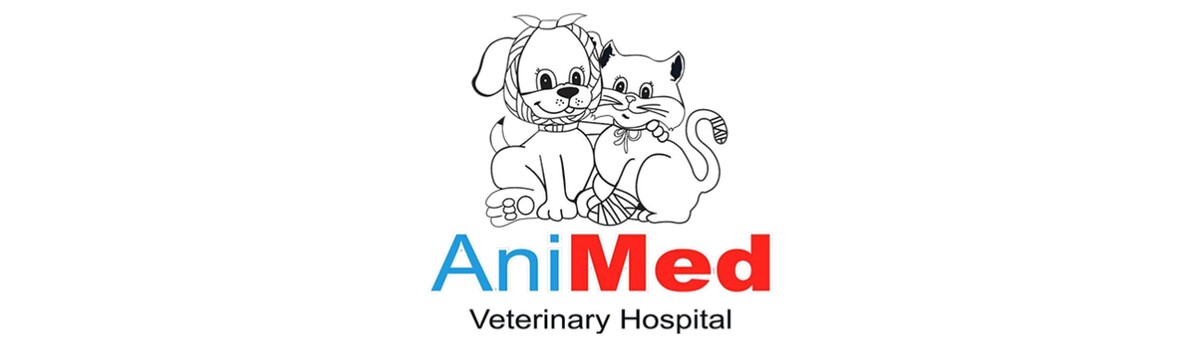 Images Animed Veterinary Hospital