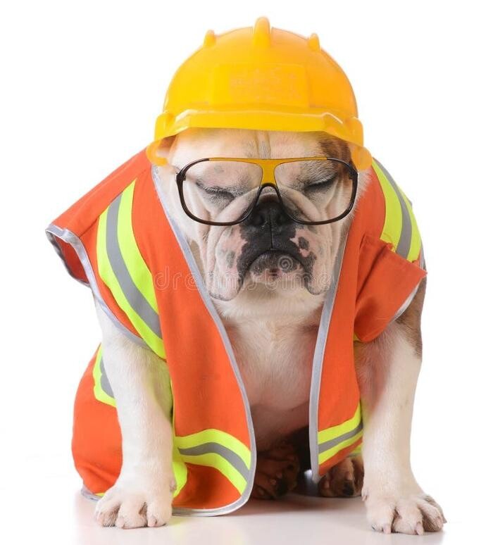 Images Animed Veterinary Hospital