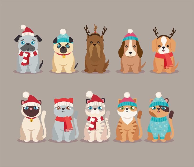 Images Animed Veterinary Hospital