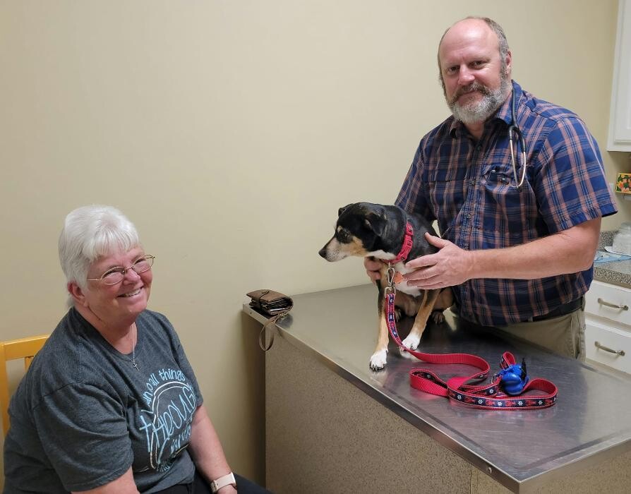 Images Animed Veterinary Hospital
