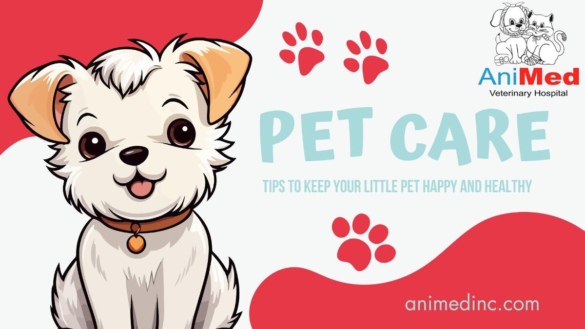 Images Animed Veterinary Hospital