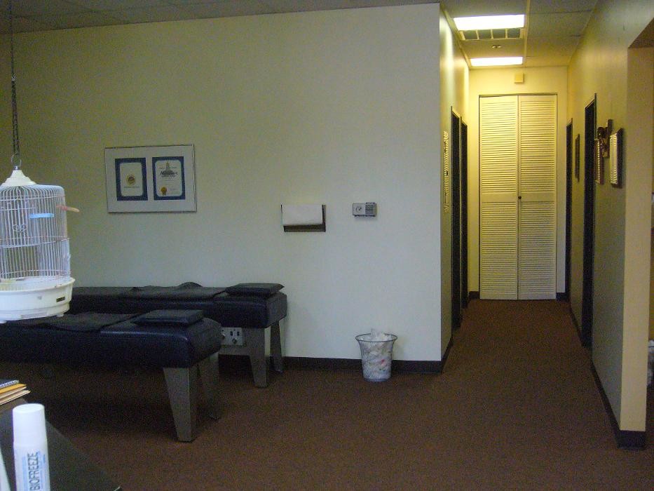 Images Dr. Steven C. Hammer D.C.
