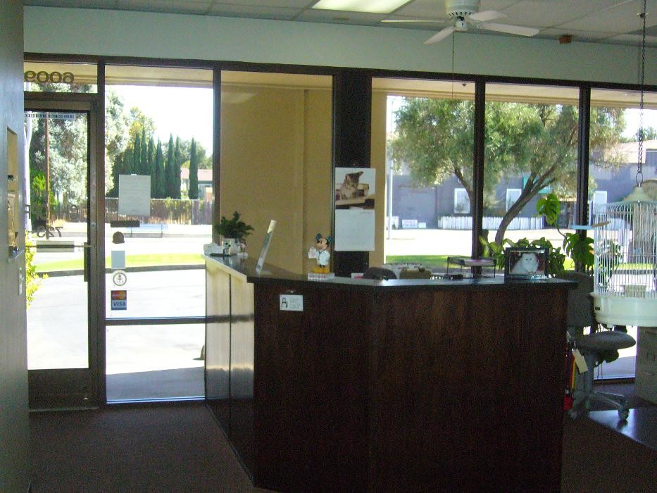 Images Dr. Steven C. Hammer D.C.