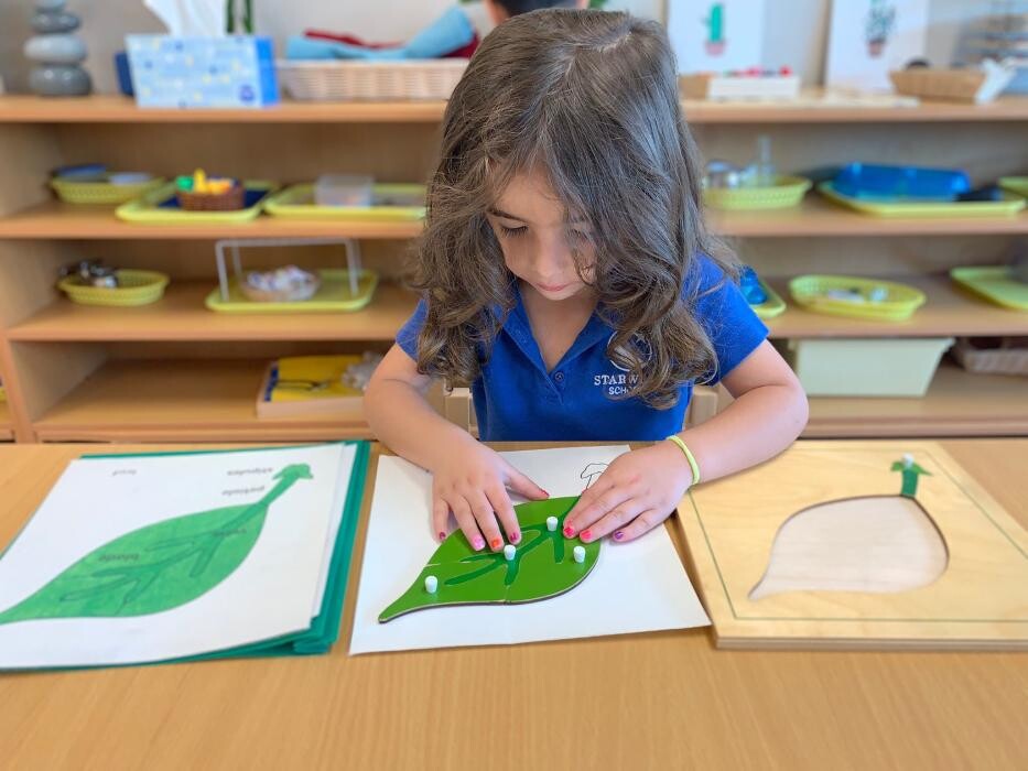 Images Starwood Academy of Frisco