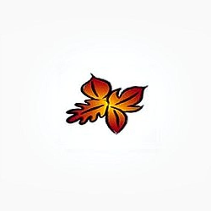 Seasons of Durango Logo