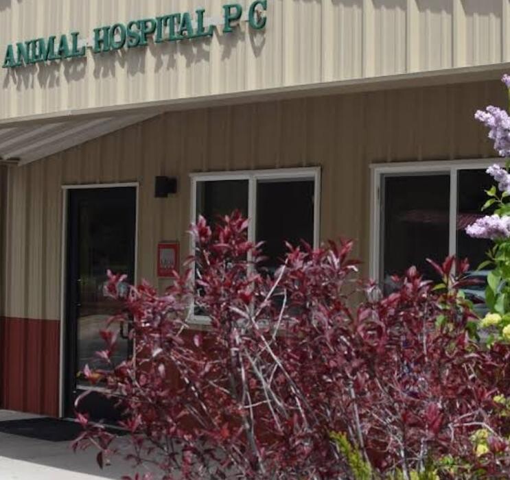 Images Alpine Animal Hospital