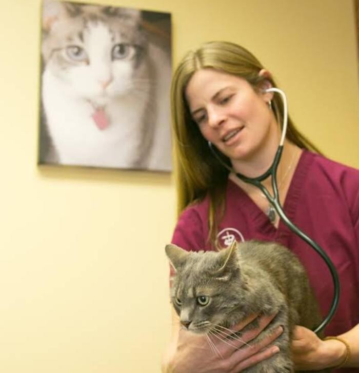 Images Alpine Animal Hospital