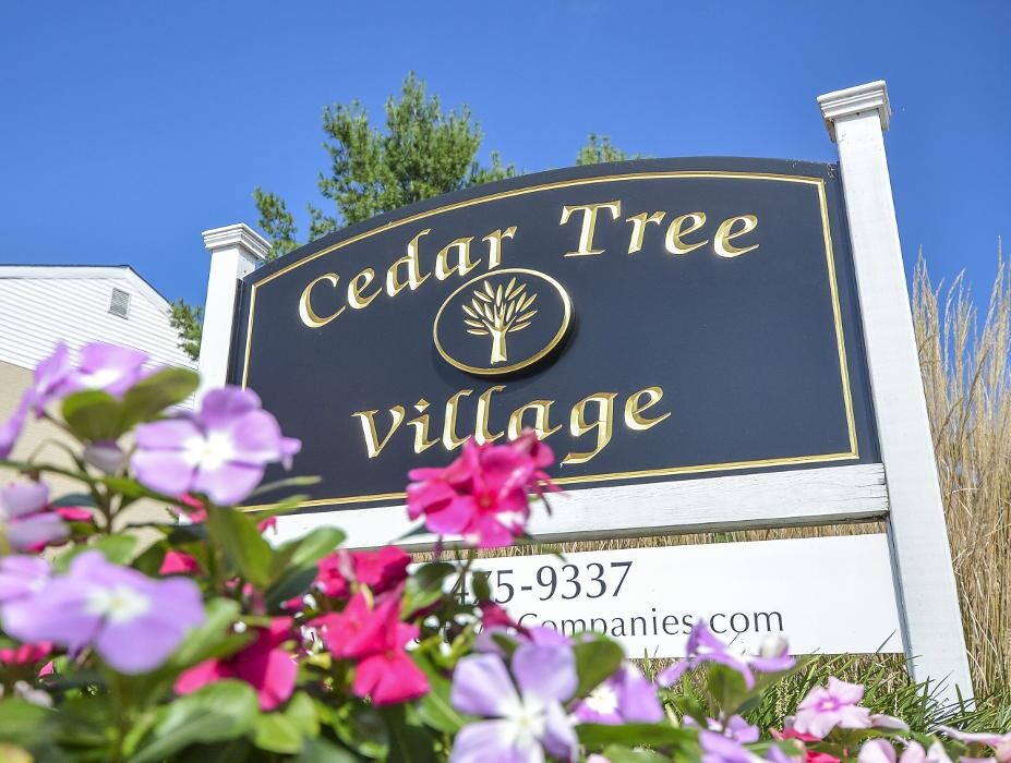 Images Cedar Tree Apartments
