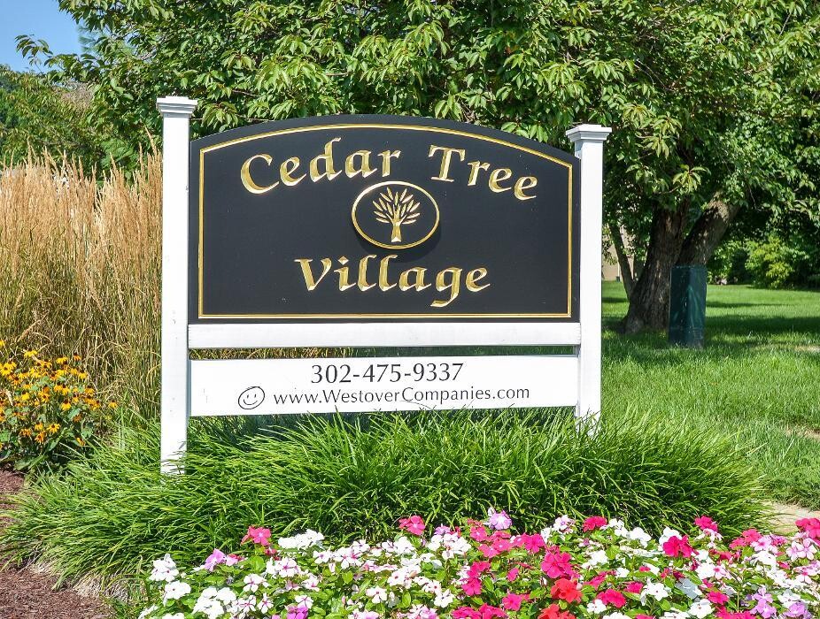 Images Cedar Tree Apartments