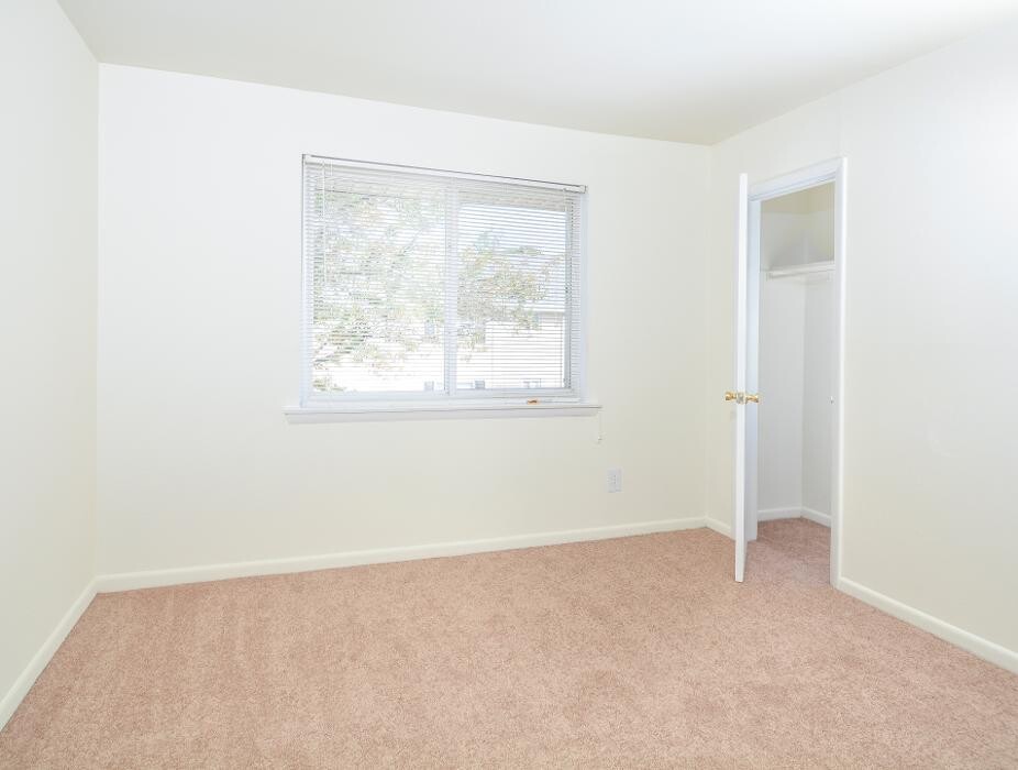 Images Cedar Tree Apartments