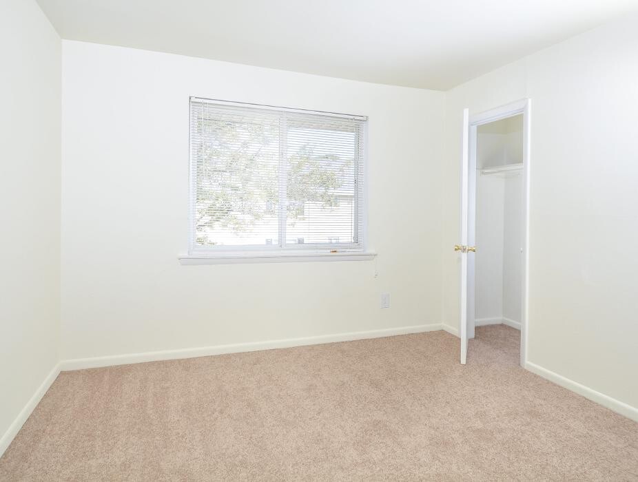 Images Cedar Tree Apartments