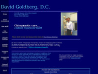 David Goldberg, D.C. website screenshot