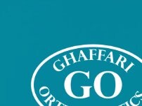 Website Screenshot Ghaffari Orthodontics