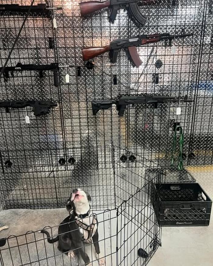 Images Arizona Firearms