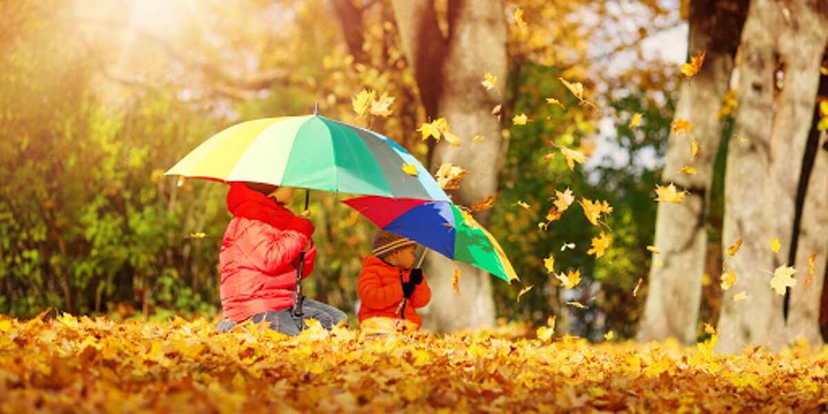 Images Fulginiti Insurance & Aston Auto Tags, LLC