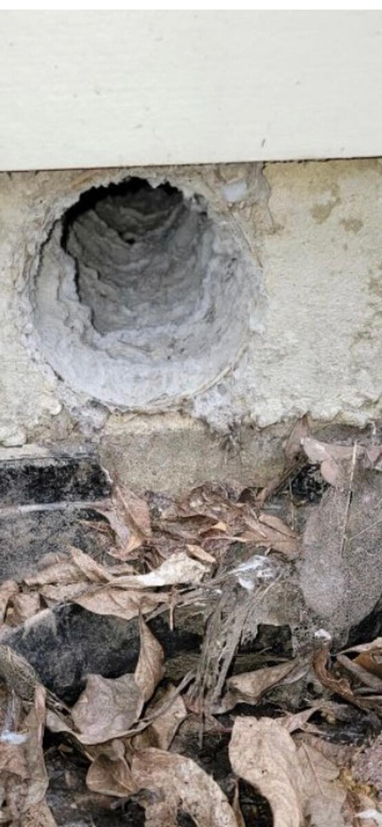 Images Dryer Vent Superheroes of New Orleans