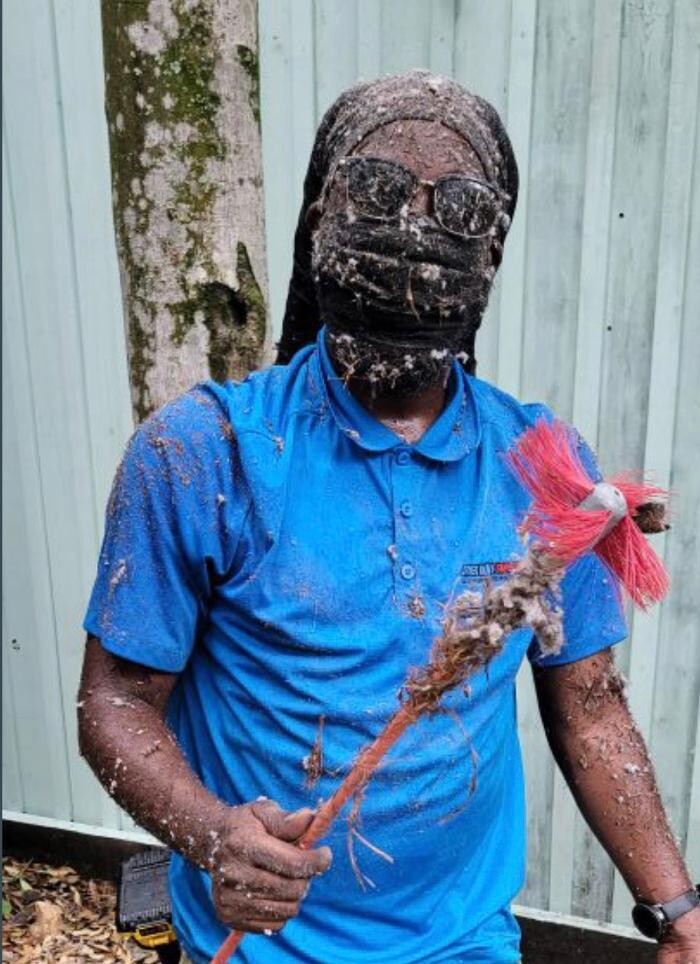 Images Dryer Vent Superheroes of New Orleans
