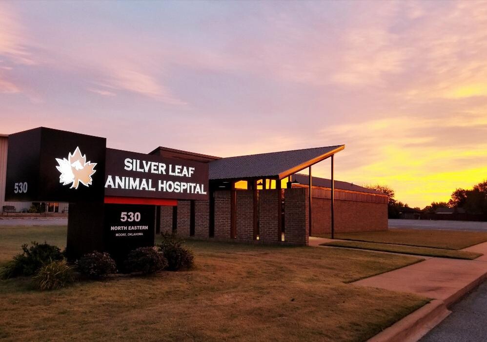 Images Silver Leaf Animal Hospital