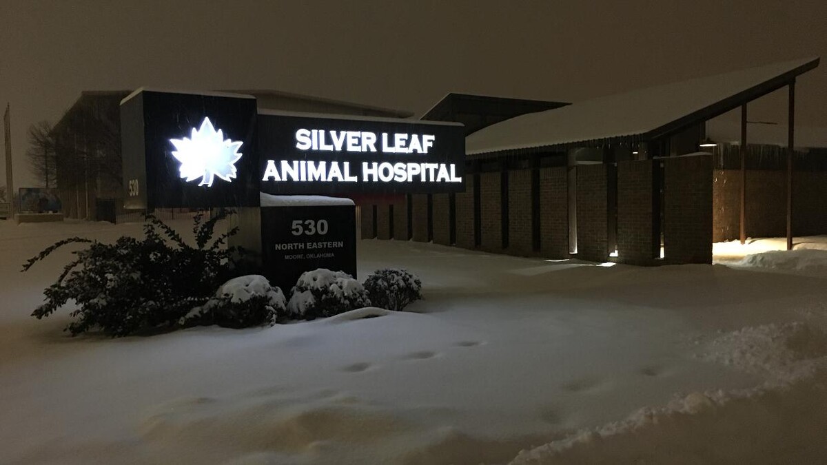 Images Silver Leaf Animal Hospital