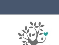 Website Screenshot Family Life Services Adoption Agency