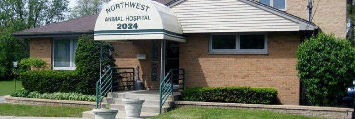 Images Northwest Animal Hospital
