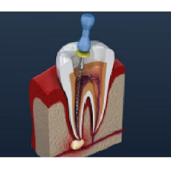 Images Drs. Jessica J. Johnston, DDS & Brent Charles Alexander, DDS