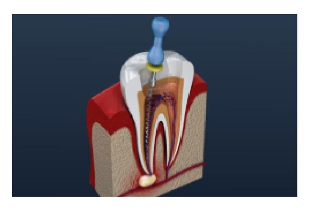 Images Drs. Jessica J. Johnston, DDS & Brent Charles Alexander, DDS