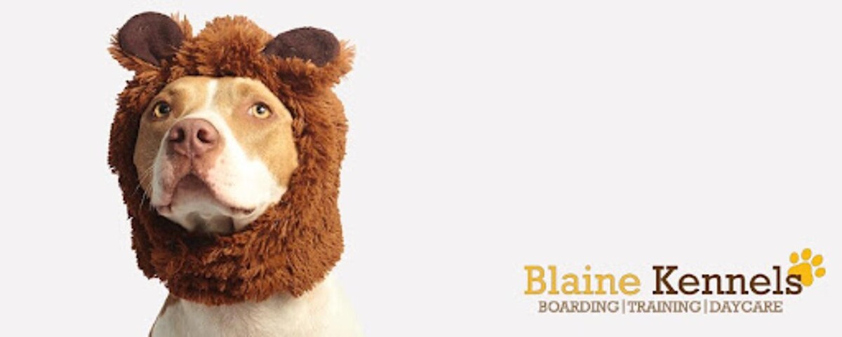 Images Blaine Kennels Inc.