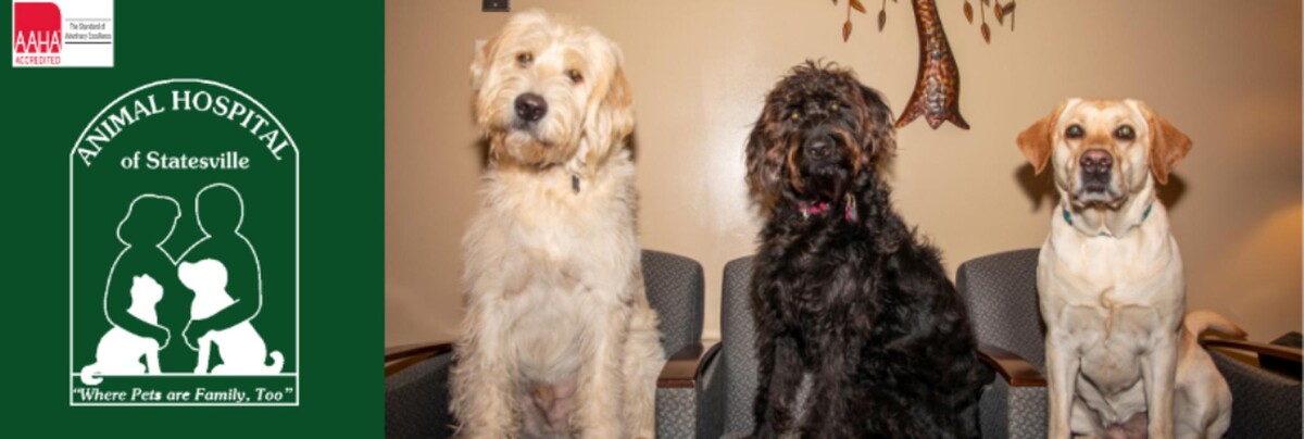 Images Animal Hospital of Statesville