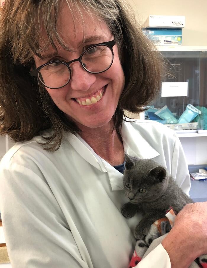 Images Heartland Animal Hospital