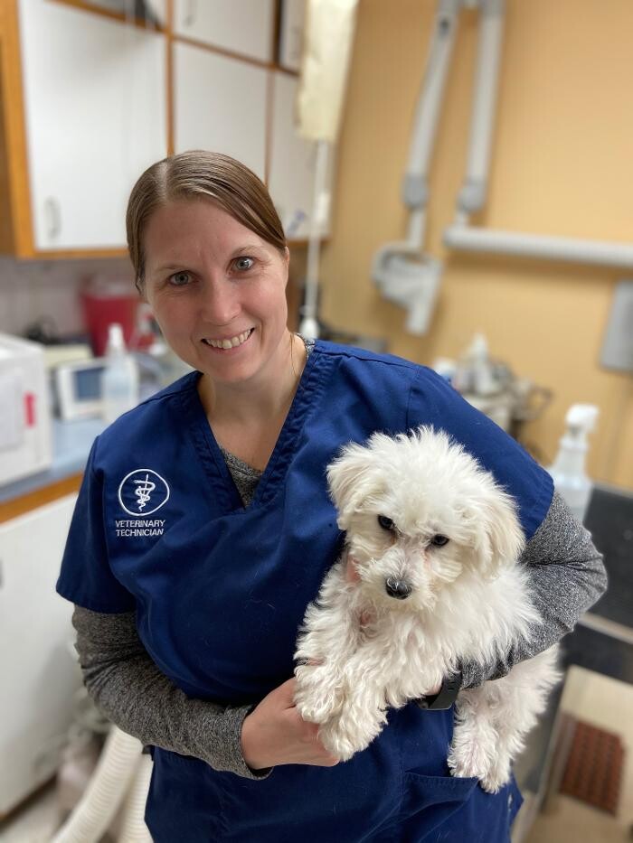 Images Heartland Animal Hospital