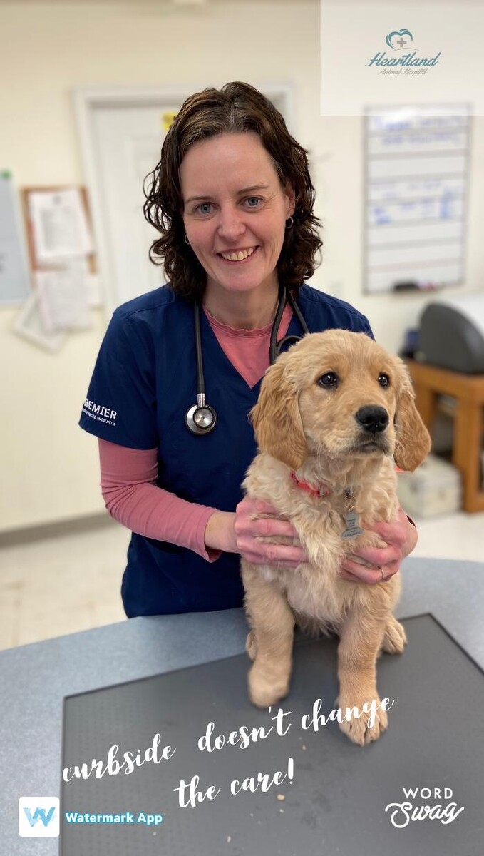 Images Heartland Animal Hospital
