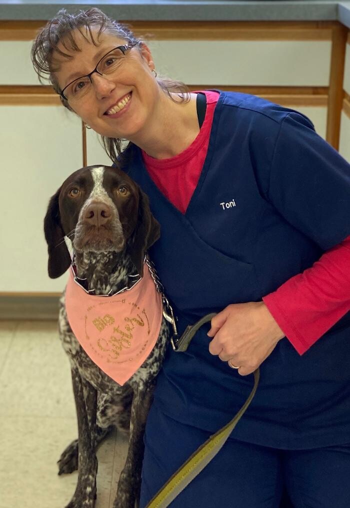 Images Heartland Animal Hospital