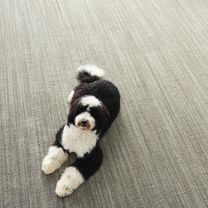 Images Thornton Flooring