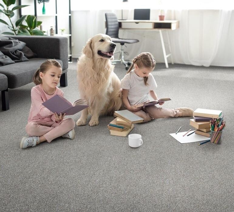 Images Thornton Flooring