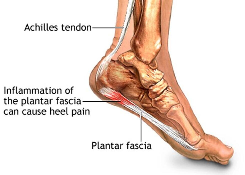 Images Mountain Home Family Chiropractic