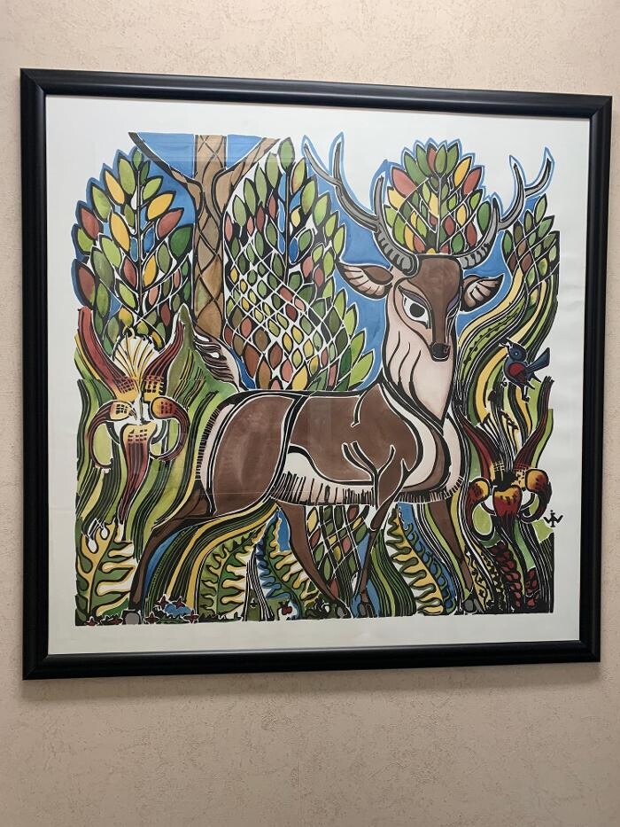 Images Kosciusko Dental Clinic