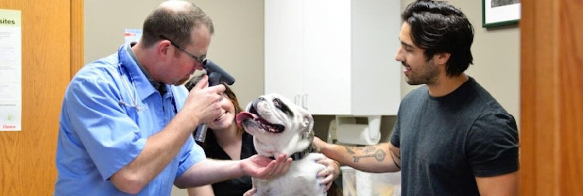 Images Animal Medical Center of Troy