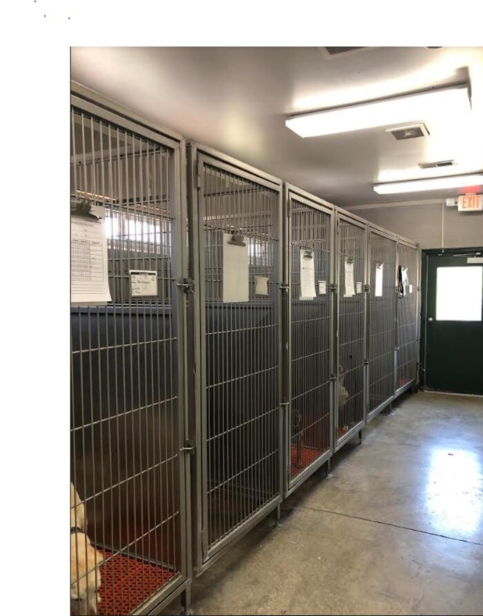 Images Animal Medical Center of Troy