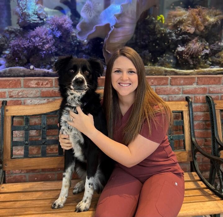 Images Animal Medical Center of Troy