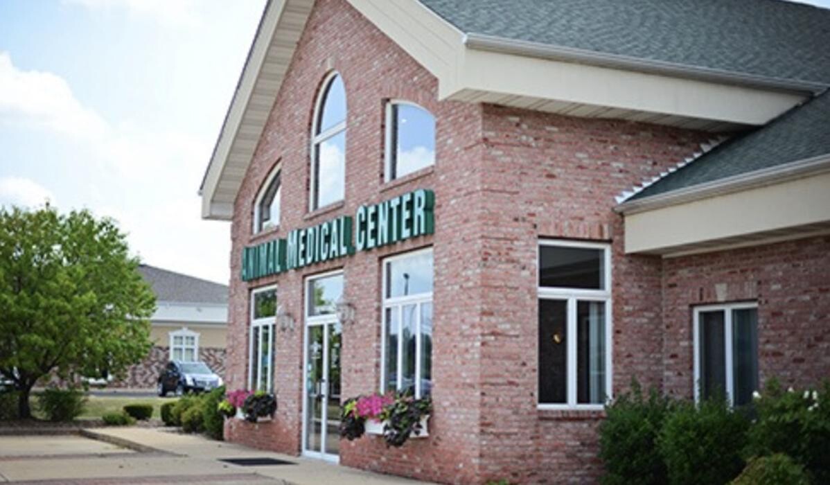 Images Animal Medical Center of Troy