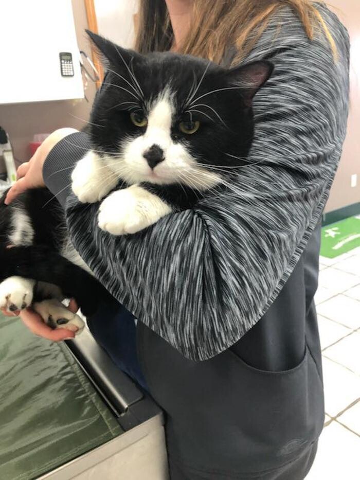 Images Animal Medical Center of Troy