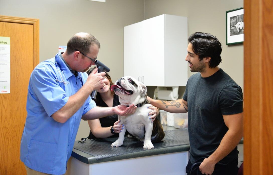 Images Animal Medical Center of Troy